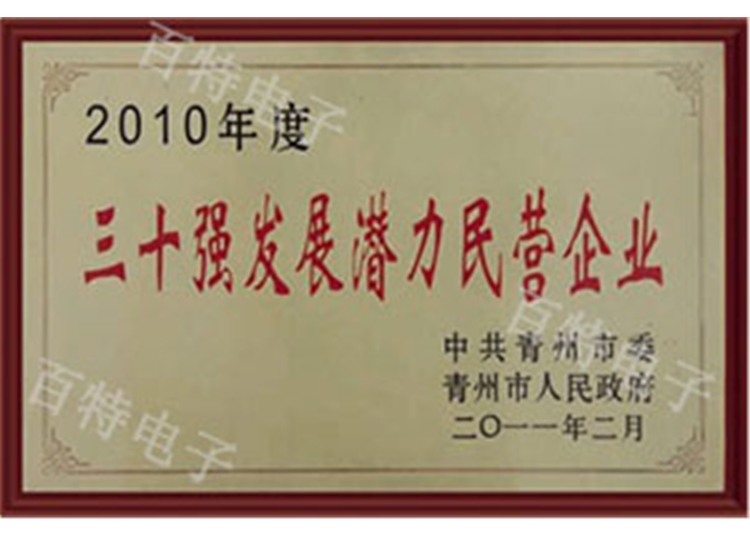 2010年度三十強發(fā)展?jié)摿γ駹I企業(yè)